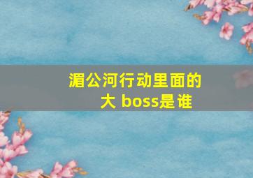 湄公河行动里面的大 boss是谁